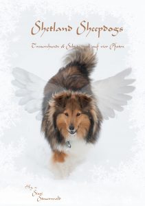 Shetland Sheepdogs Profilbild