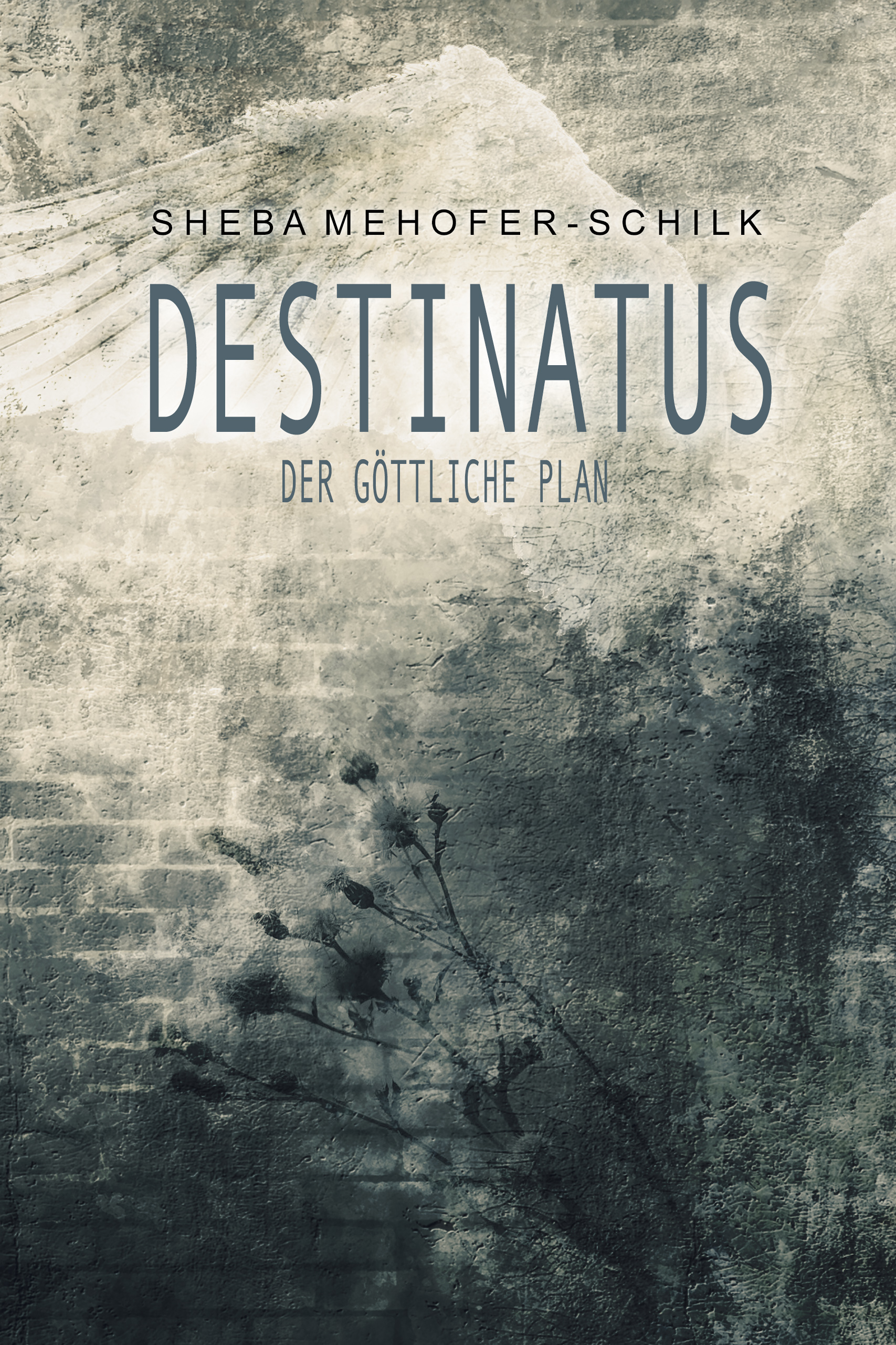 Destinatus (1. Auflage)