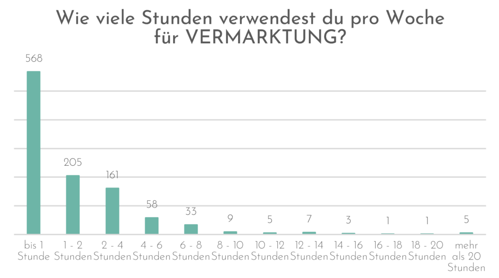  Wie viele Stunden verwendest du pro Woche für Vermarktung? 