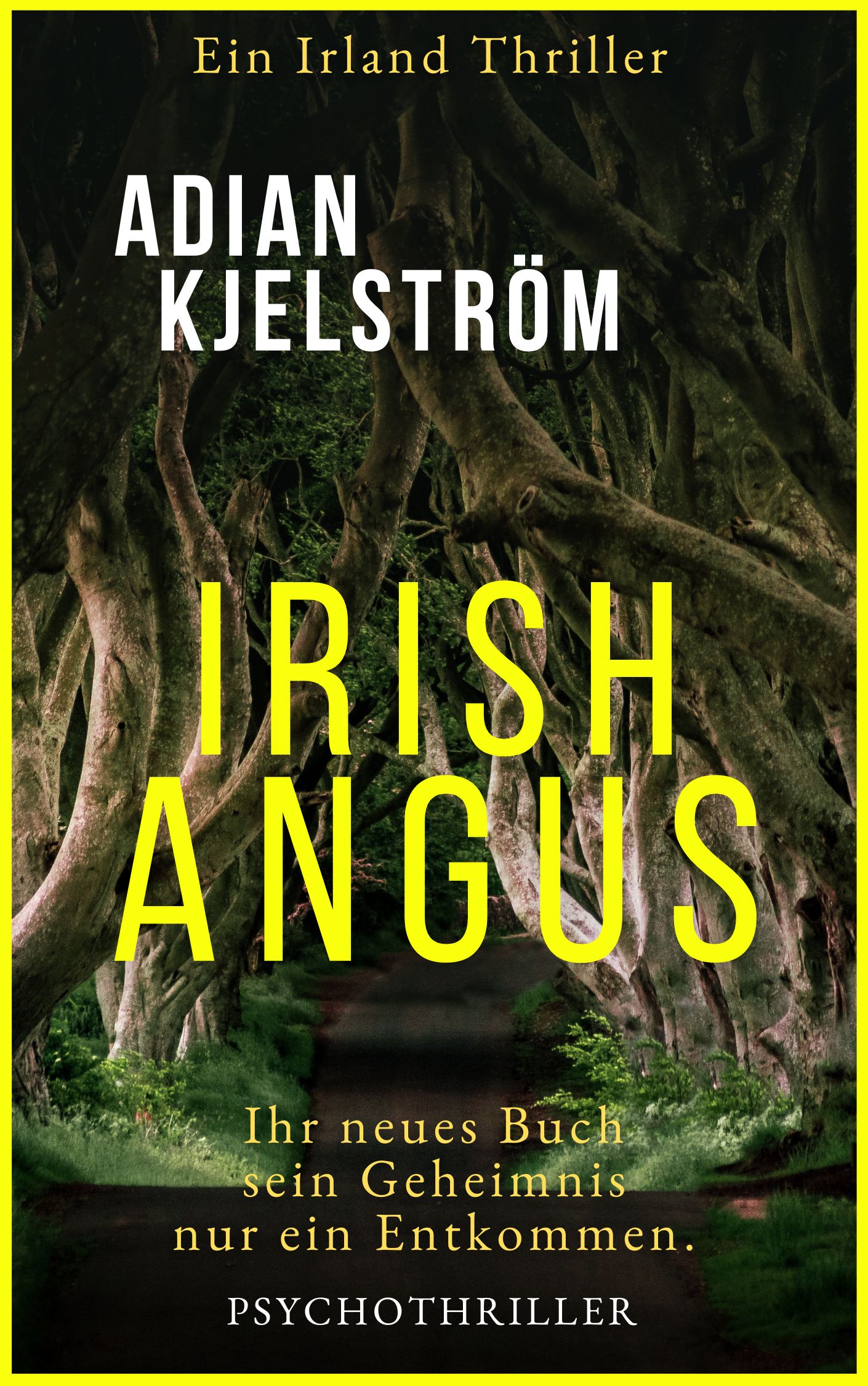 Irish Angus