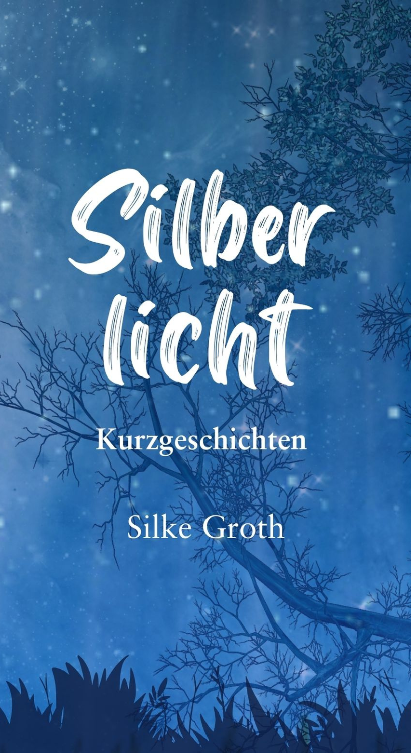 Silberlicht Profilbild