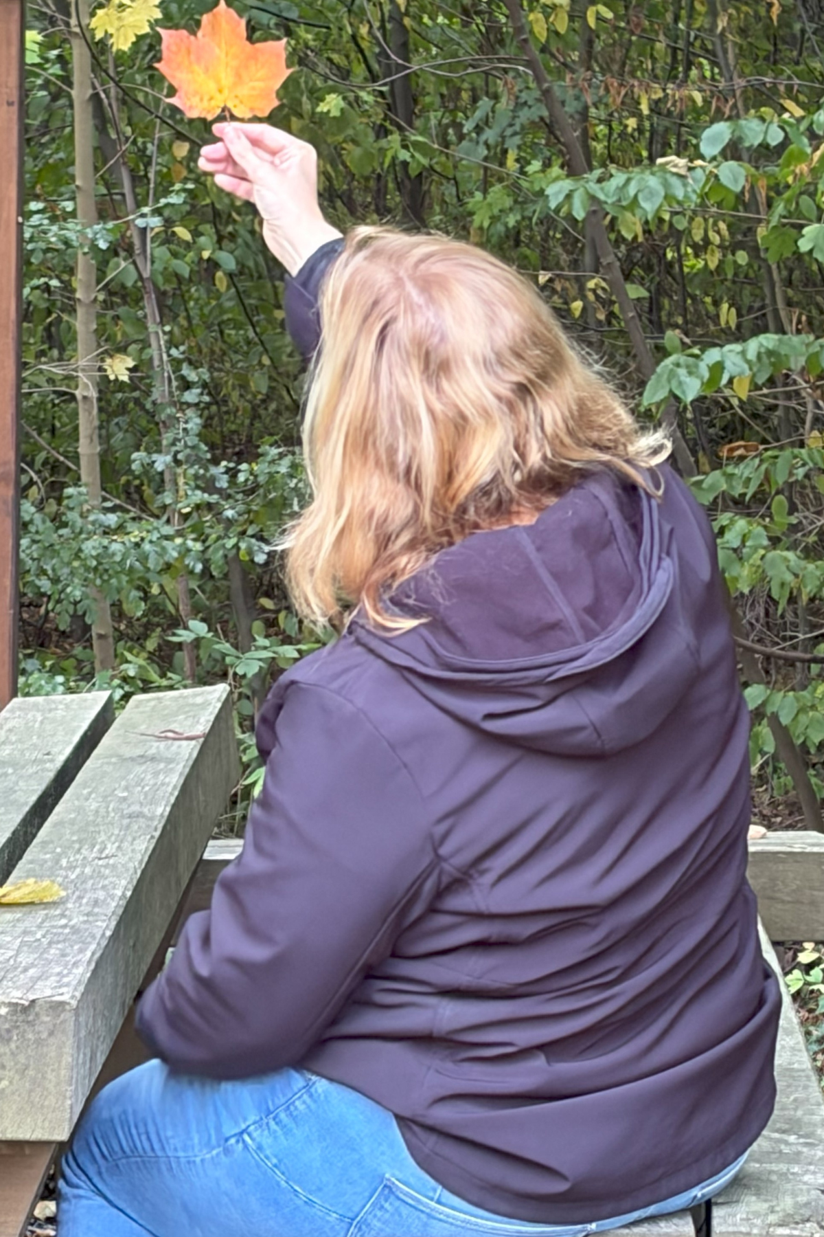 Theresa Albers Cover