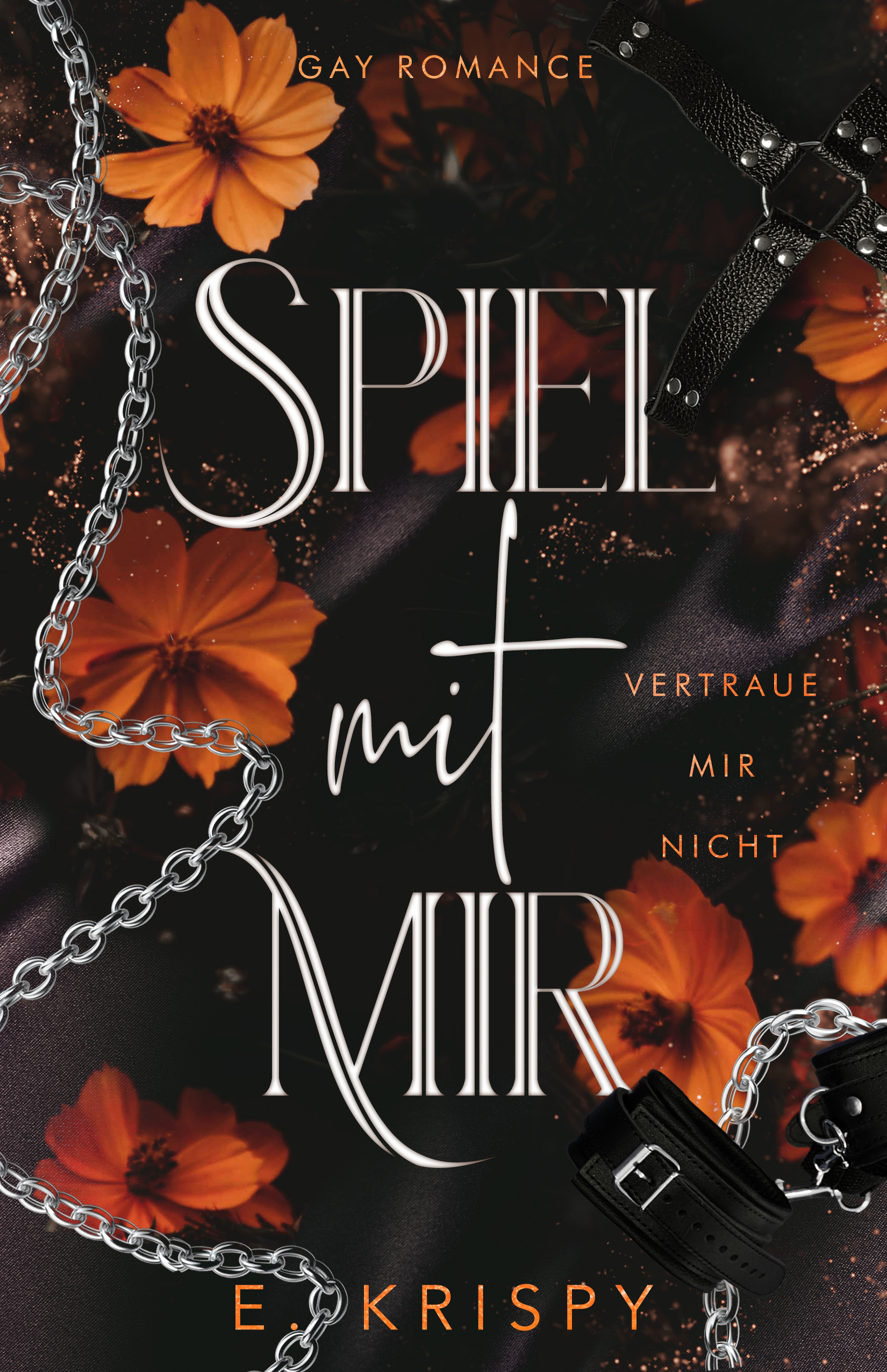 Spiel mit mir: Vertraue mir nicht (Gay Romance)