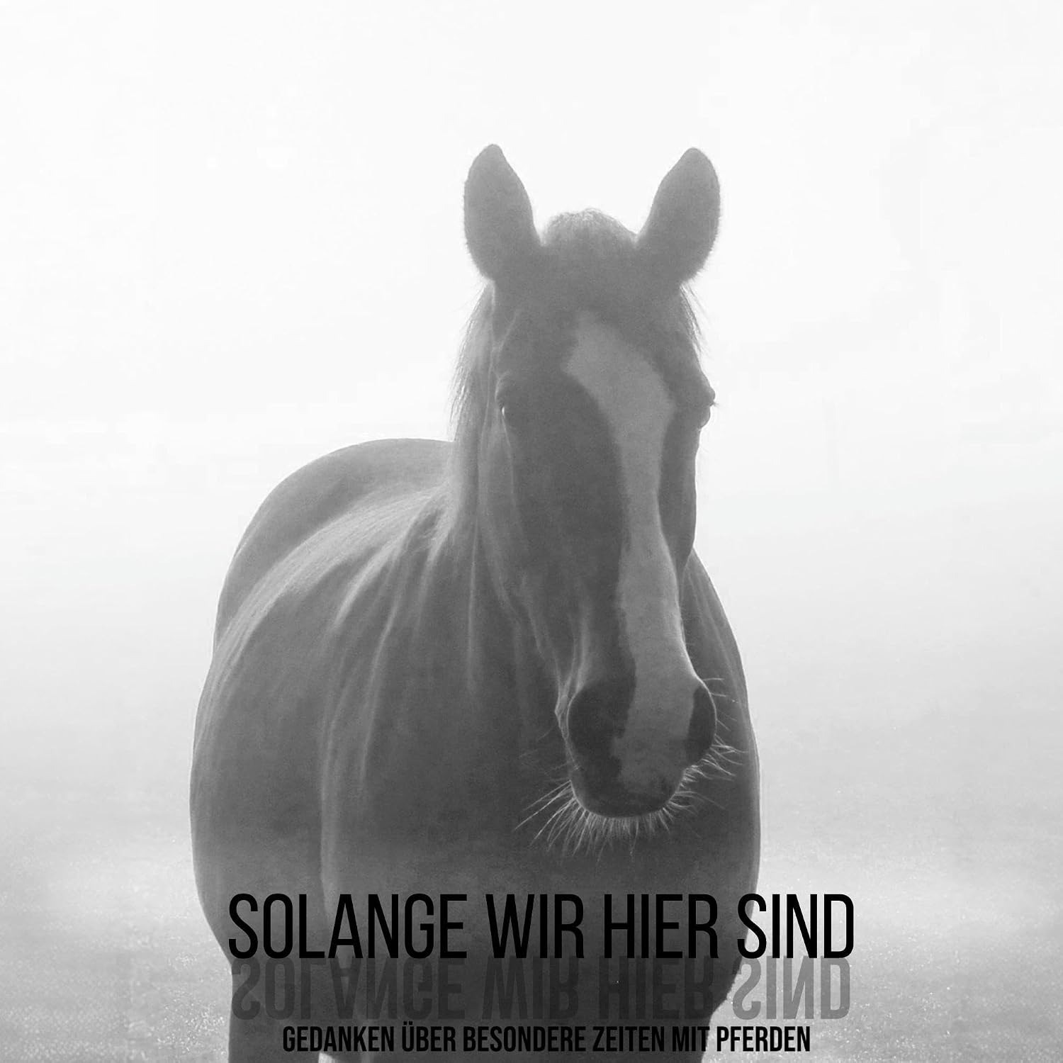 Solange wir hier sind